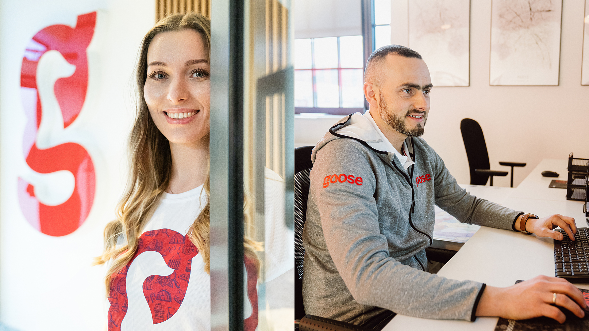 Dołącz_do_zespołu-Goose_Logistics Dołącz do zespołu Goose Logistics